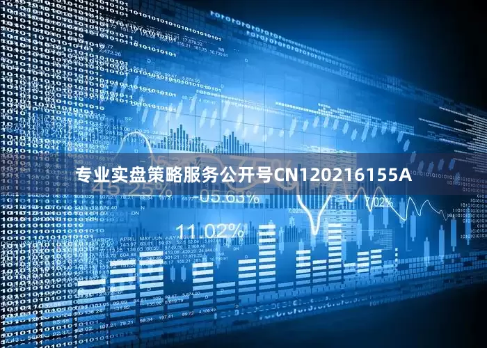 专业实盘策略服务公开号CN120216155A