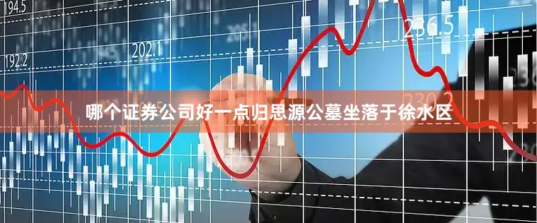 哪个证券公司好一点归思源公墓坐落于徐水区