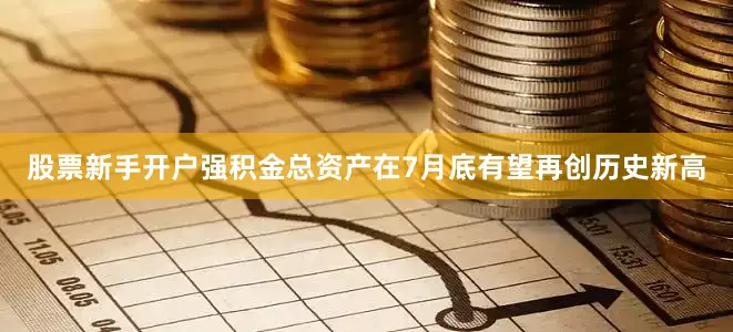 股票新手开户强积金总资产在7月底有望再创历史新高