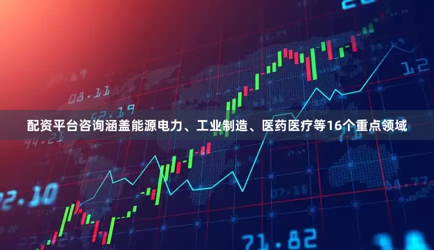 配资平台咨询涵盖能源电力、工业制造、医药医疗等16个重点领域