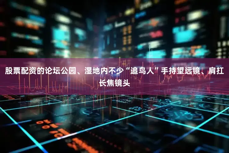 股票配资的论坛公园、湿地内不少“追鸟人”手持望远镜、肩扛长焦镜头